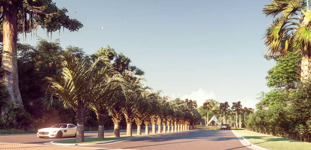 avenida-principal